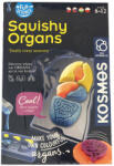 Piatnik Fun Science - Squishy Organs Játékszett -Piatnik - Lányoknak és Fiúknak, 8 éves kortól