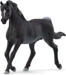Schleich Horse Club Arab mén 13981 (2256241)