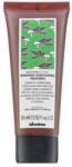 Davines Natural Tech Renewing Conditioning Treatment 60 ml