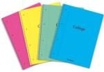 Aurora Caiet cu spirala, A4, 80 file - 70g/mp, 4 perforatii, coperta PP, AURORA College - dictando (129801PP)