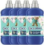 Coccolino Water Lily & Pink Grapefruit Öblítő koncentrátum 204 mosás 4x1275ml