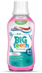 Aquafresh Apa de Gura Aquafresh, Big Teeth Fruity, pentru Copii, 300 ml (MAG1018741TS)