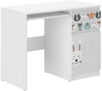  Ifjúsági íróasztal N33 - erdei állatkák