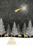 Artigte Felicitare Carte de felicitare Artige - Silent Night (XAN022)