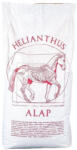  Helianthus Alap lótáp 20kg
