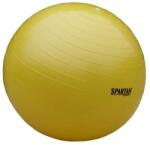 SPARTAN Minge de gimnastică, 45 cm SPARTAN (54) Minge fitness