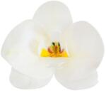 Gyertyakovács 10 db fehér orchidea ostyavirág