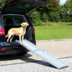 TRIXIE Rampa telescopica Trixie 100-180/46 cm