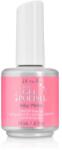 ibd Gél lakk - IBD Just Gel Polish 56924 - Full Bluum