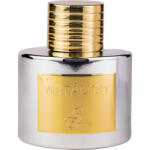 Emir Metalico EDP 100 ml