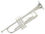 Roy Benson TR-202S Bb-trombita