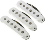 Fender Custom Shop Texas Special Stratocaster szett