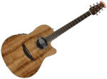 Ovation Celebrity Standard Plus CS24P-FKOA