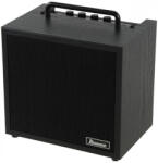 Ibanez IBZ10B V2 10W basszuskombó