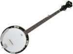 Ibanez B50 banjo