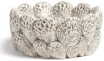 &k amsterdam castron Oyster 99KK-KBU5WY_MLC (1894.04) Castron