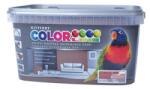 Kittfort Prahasro Colorline falfesték 13 nugátszínű 2, 5 L (8595030527228)