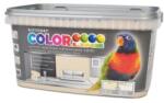 Kittfort Prahasro Colorline falfesték 04 caffé latte 5 L (8595030526894)