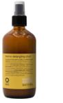 OWay Thermo-Detangling Cloud Spray 240 ml