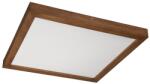 Brilagi Plafonieră LED dimabilă Brilagi WOODY FRAME LED/50W/230V stejar 60x60 cm IP44 + telecomandă (BG0863)