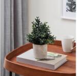 EGLO 428028 - Műnövény CHITOSE virágcserépben, 23x18 cm 428028 (EG428028)