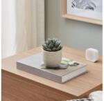 EGLO 428011 - Műnövény CHITOSE 11x8 cm, pozsgás cserépben 428011 (EG428011)