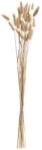 EGLO 428039 - Szárított virág GUIPOS 60 cm bézs 428039 (EG428039)