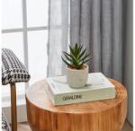 EGLO 428012 - Műnövény CHITOSE kaspóban 15, 5x10 cm, szukkulens 428012 (EG428012)