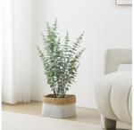 EGLO 428378 - Műnövény virágcserépben TOBETSU 76x25, 5 cm 428378 (EG428378)
