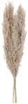 EGLO 428083 - Szárított virág GUIPOS 55 cm bézs 428083 (EG428083)