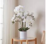 EGLO 428024 - Műnövény HYUGA orchidea, 65x50 cm, cserépben 428024 (EG428024)