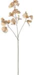 EGLO 428372 - Művirág ETAYA 73 cm bézs 428372 (EG428372)