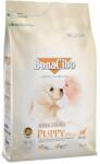 BonaCibo PUPPY (Csirke, szardella és rizs) 3 kg - all4pets