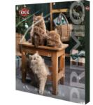 TRIXIE Premium Adventi Naptár Macskáknak
