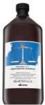 Davines Natural Tech Rebalancing Shampoo за мазен скалп 1000 ml