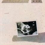 Fleetwood Mac - Tusk (Limited Editon) (Blue Coloured) (2 LP) (0081227815646)