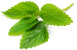  Citromfű 100% illóolaj 10ml