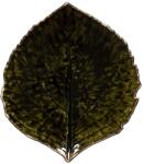 COSTA NOVA un set de farfurii Riviera Hydrangea 17 cm 6-pack 99KK-KBU77P_78X (VEP171.FRT.SET6)