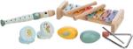 Freeon Jucărie din lemn Freeon Free2Play - Primul meu set de muzică, 5 în 1 (80586) Instrument muzical de jucarie