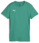 PUMA teamGOAL Jersey Wmn Póló 658638-05 Méret S