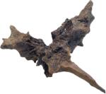 INVITAL Dark wood S (ID Z06214)