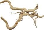 INVITAL Red Moor Wood Premium L 40-50cm (ID Z08162)