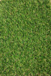 Delta Carpet JAKARTA, Covor Gazon Iarba Artificiala, Verde, 20 mm, Latime 1 m (JAKARTA-20-12)