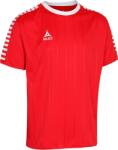Select Bluza Select Argentina jersey shorts sleeve kids 62250k-333 Marime 8