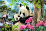 Educa - Puzzle Panda de dimineață - 1 000 piese Puzzle
