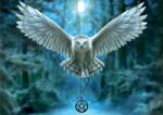 Educa - Puzzle Anne Stokes: Awake Your Magic - 500 piese Puzzle