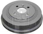 Febi Bilstein Tambur frana FEBI BILSTEIN 17310 (17310) - automobilus