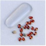 Zodiac Mini kristály ovális Almandin