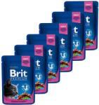 Brit Pliculeț BRIT Premium Cat Chicken & Turkey 6 x 100 g