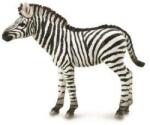 CollectA COLECTA Zebra (M1188850) Figurina